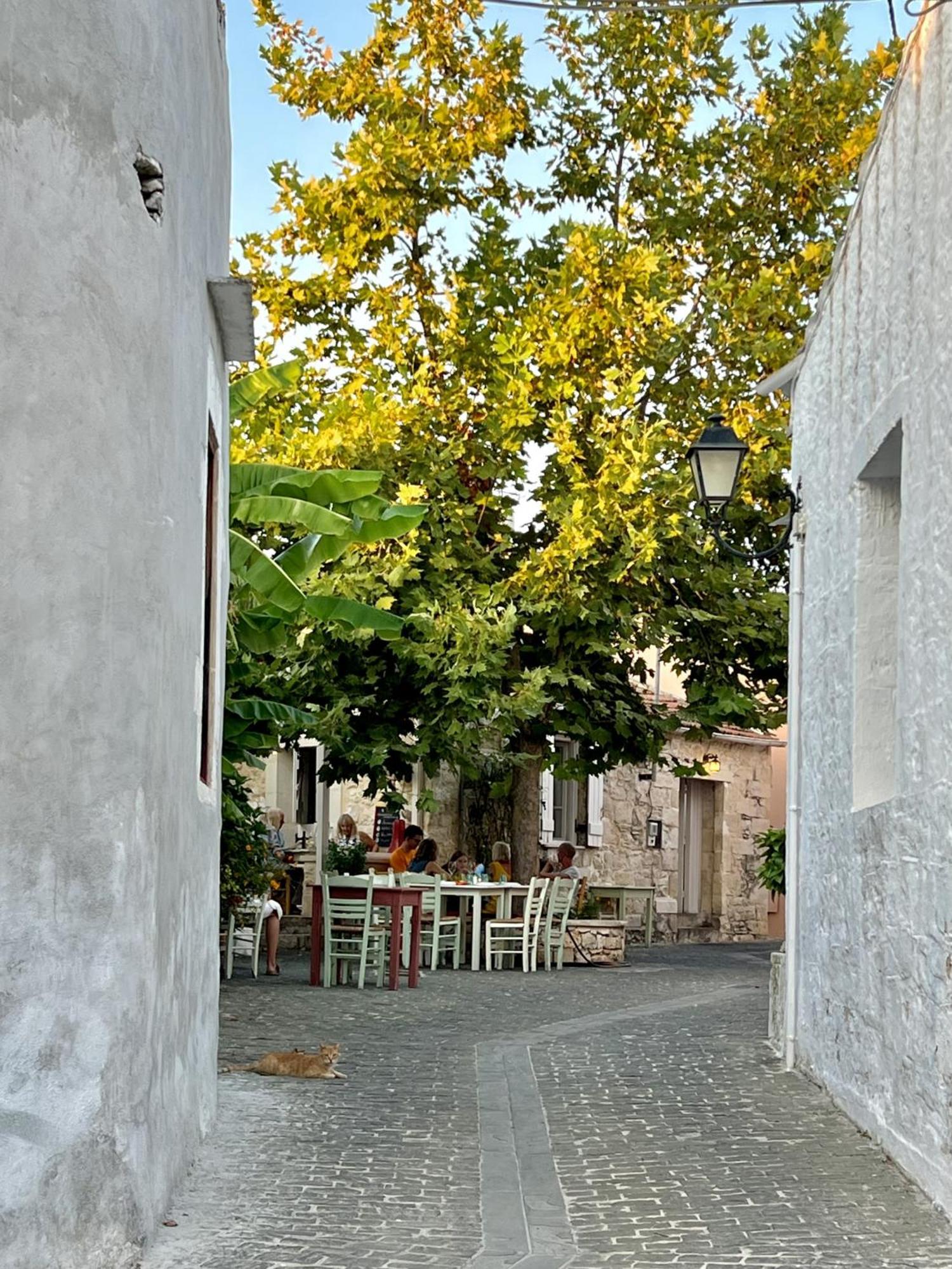 Villa Metapothia Gavalochori Crete Luaran gambar